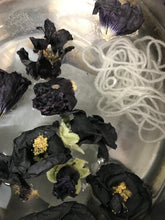 Load image into Gallery viewer, Black Hollyhock Seeds