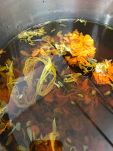 Load image into Gallery viewer, Marigold Seeds