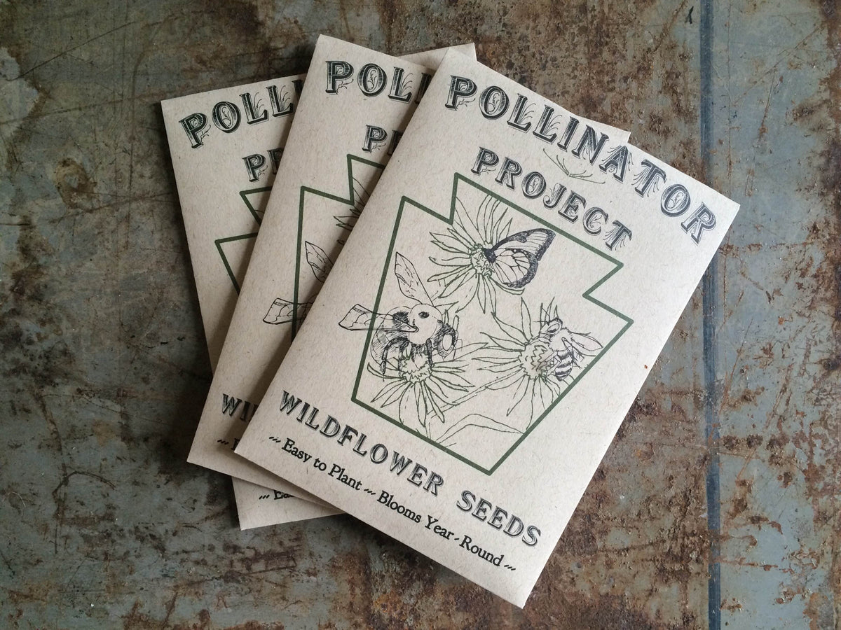 Ten Sample Sized Wildflower Seed Packets – bedhead fiber