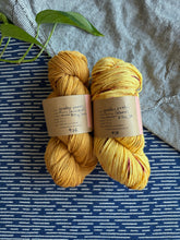 Load image into Gallery viewer, Garden Party Aplite Yellows