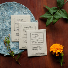 Load image into Gallery viewer, The Classic Natural Dyer&#39;s Seed Bundle
