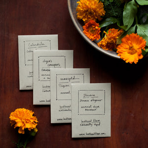 The Yellows! Natural Dyer's Seed Bundle