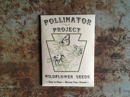 Single Wildflower Seed Packet