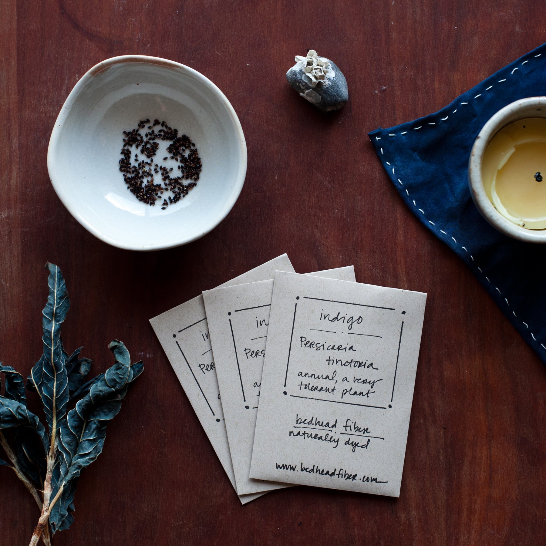 indigo plant seeds online Indigo Seeds – bedhead fiber