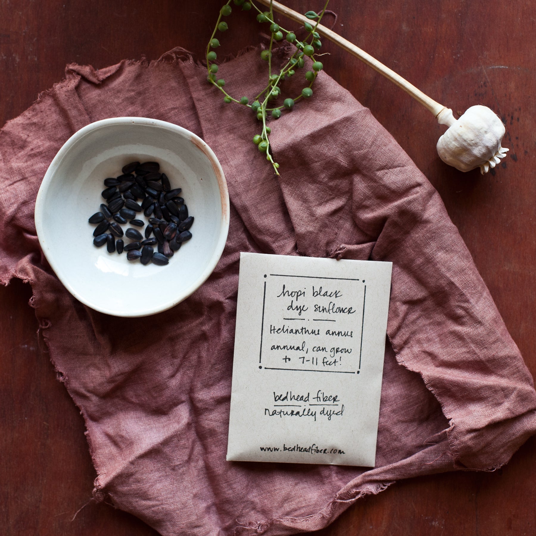 Hopi Black Dye Sunflower Seeds