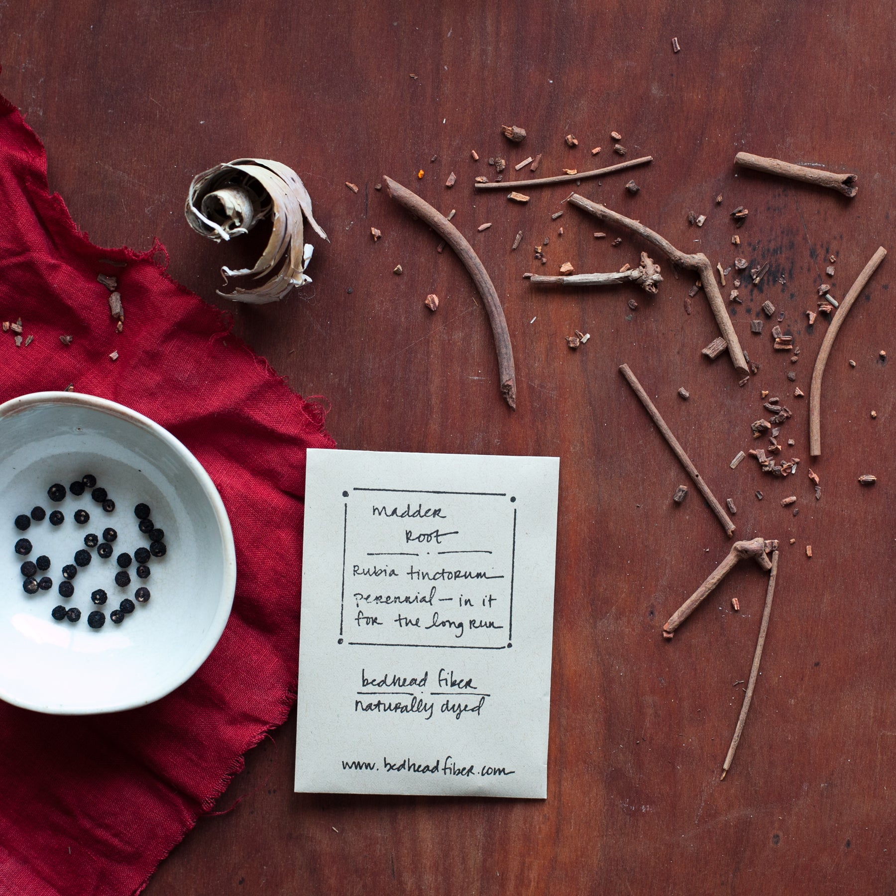 madder plant seeds Madder Root Seeds – bedhead fiber